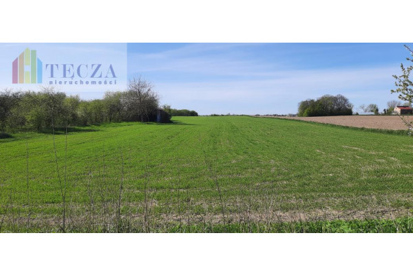 miński, Halinów, Kazimierów, Gm.HALINÓW 9700 m2,MPZP,zab.bliźniacza,niska cena,PILNE