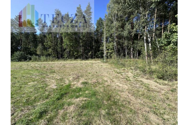 wołomiński, Strachówka, Borucza, 8 działek BUDOWALNYCH z wydanymi WZ,BORUCZA,gm.Strachówka